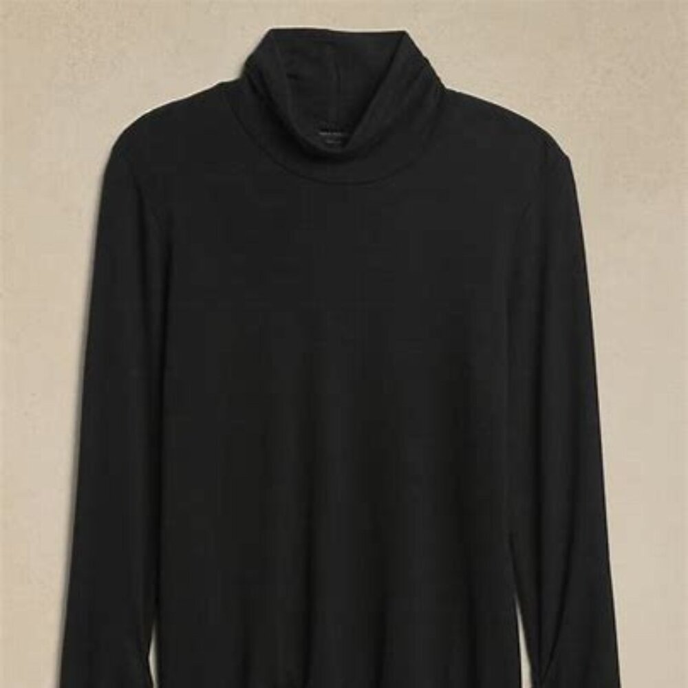 Banana Republic- Soft Luxe Turtleneck Shirt